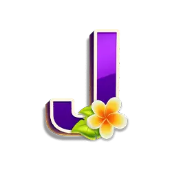 Icon 9