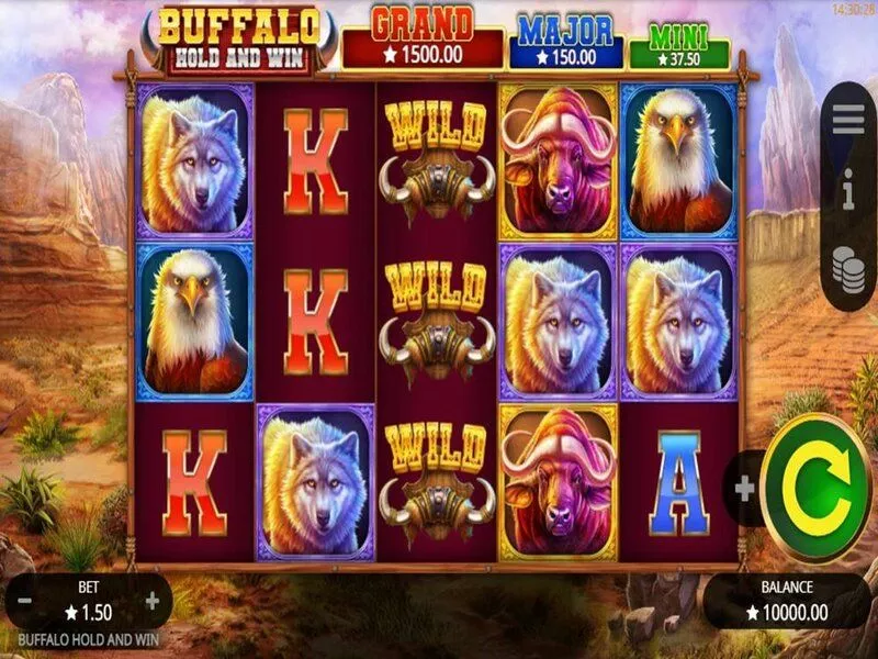 Buffalo Hold And Win