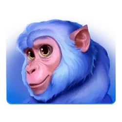 Icon 3