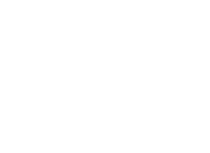 Stake.us